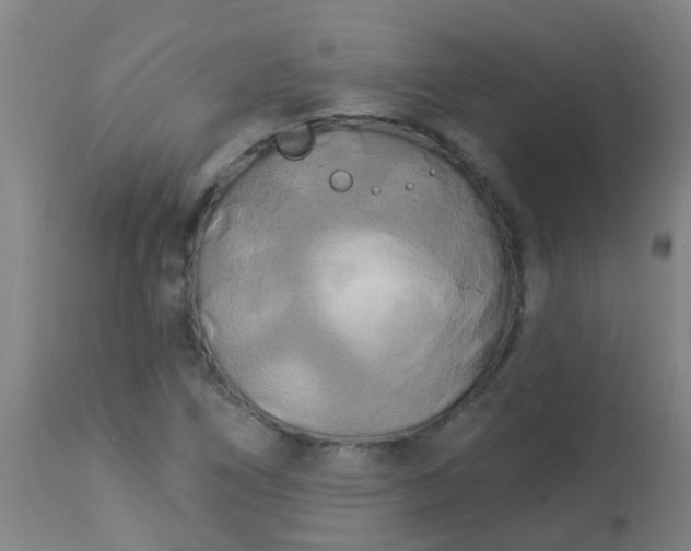 X0000114181266200910221705