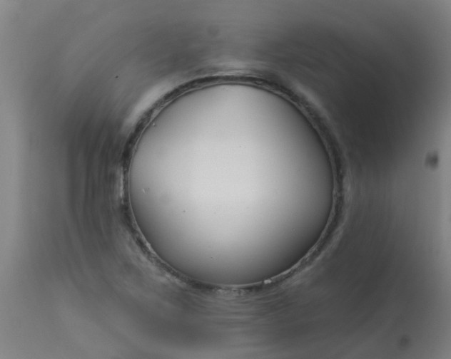 X0000114181267200910221705