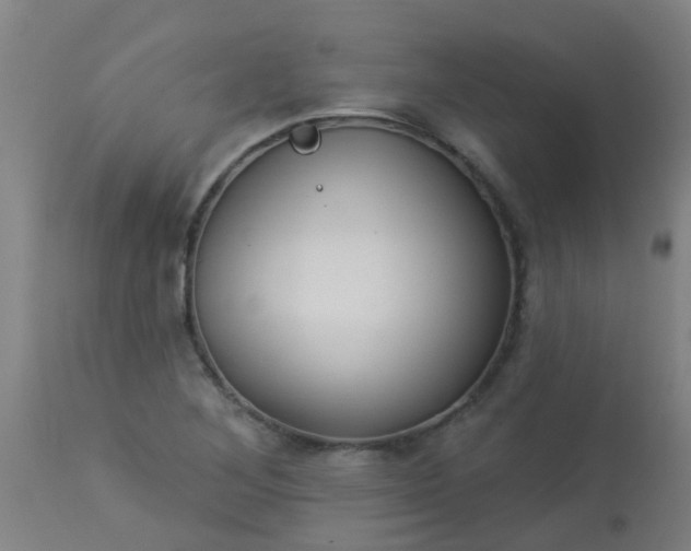 X0000114181268200910221705