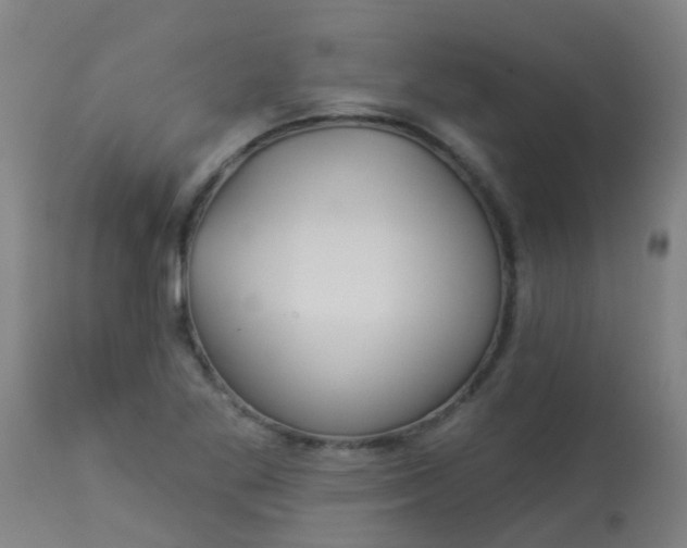 X0000114181269200910221705