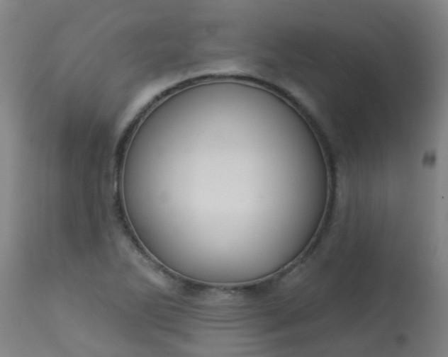 X0000114181270200910221705