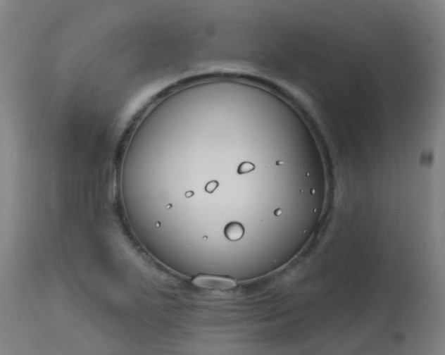 X0000114181271200910221705