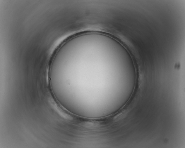 X0000114181272200910221705