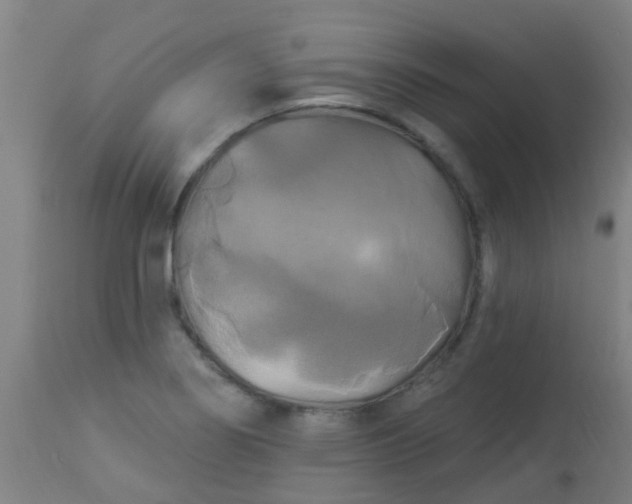 X0000114181274200910221705