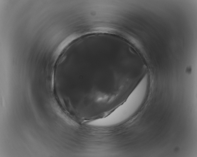 X0000114181275200910221705