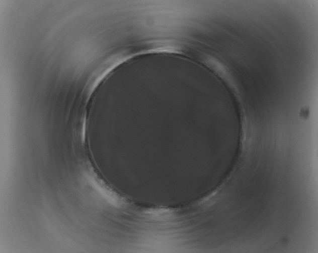 X0000114181276200910221705