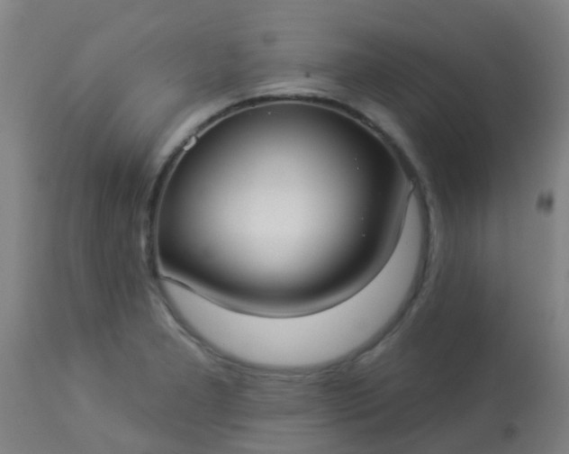 X0000114181277200910221705