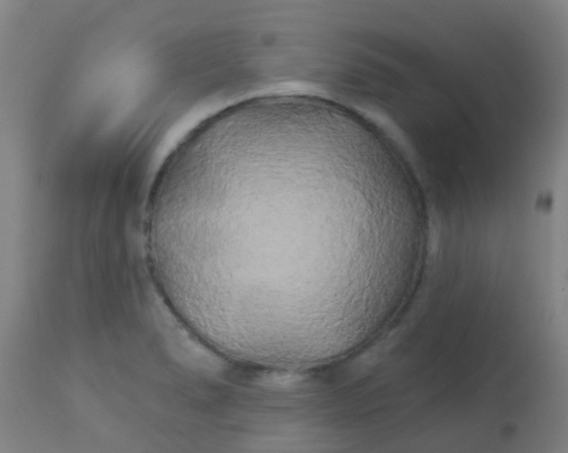 X0000114181278200910221705