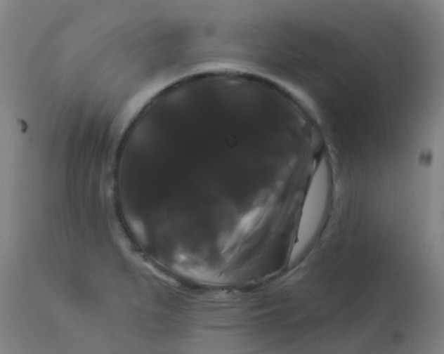 X0000114181279200910221705