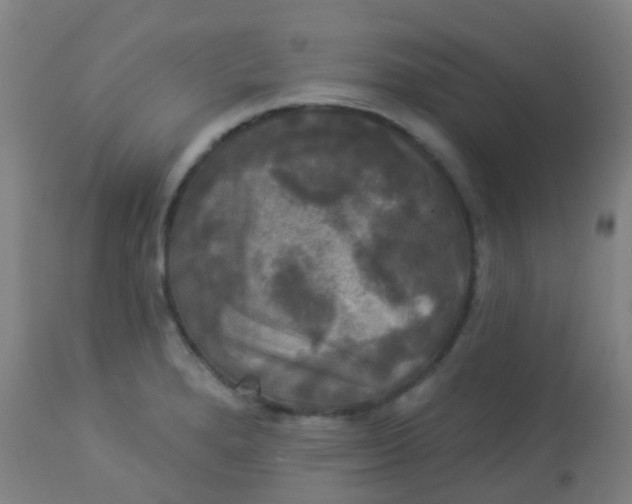 X0000114181280200910221705