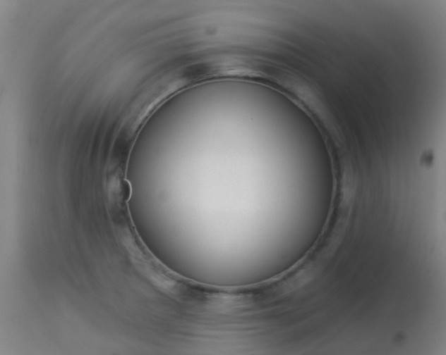 X0000114181281200910221705