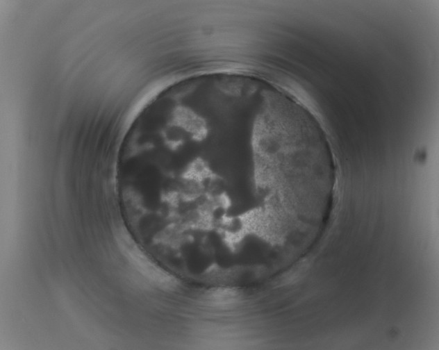 X0000114181283200910221705