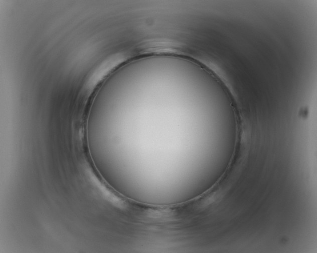 X0000114181285200910221705