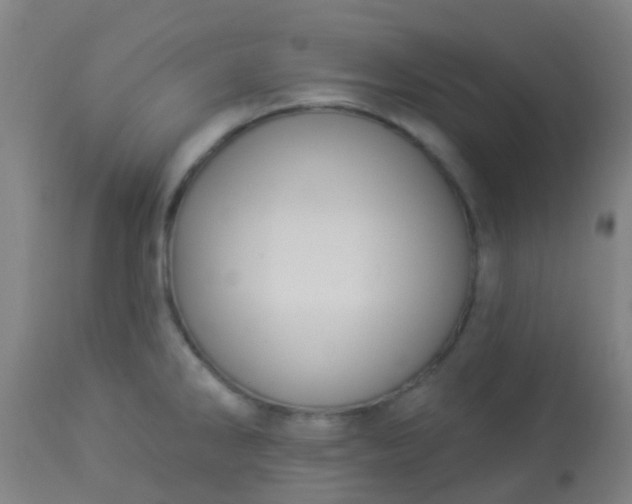 X0000114181286200910221705