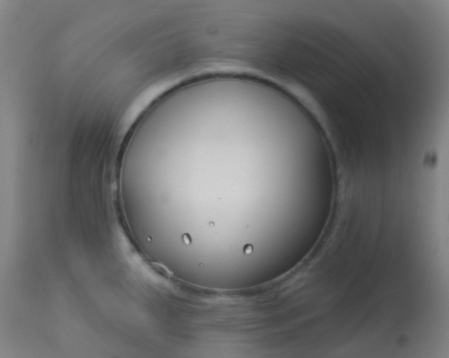 X0000114181287200910221705