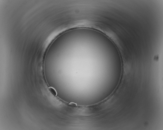 X0000114181288200910221705