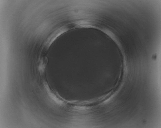 X0000114181289200910221705