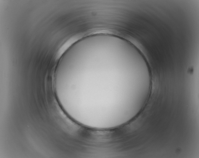 X0000114181290200910221705