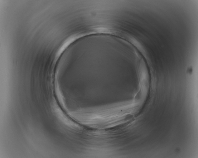 X0000114181291200910221705