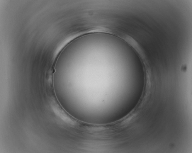 X0000114181292200910221705