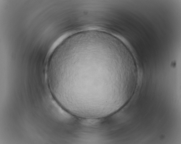 X0000114181294200910221705