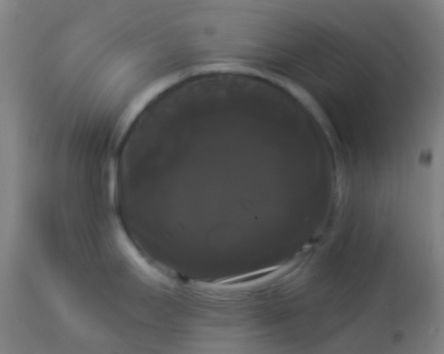 X0000114181295200910221705