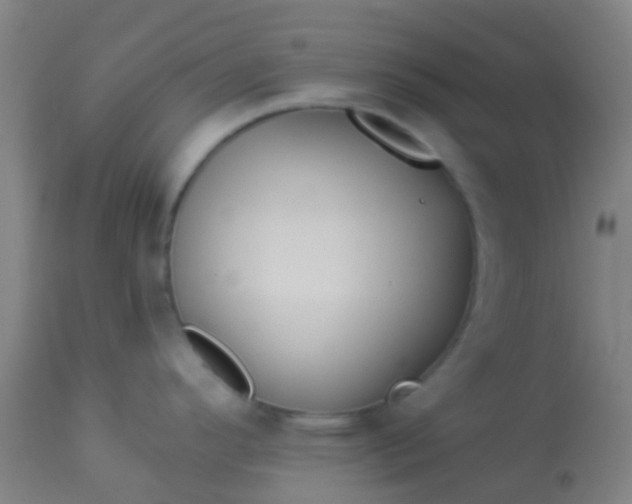 X0000114181296200910221705