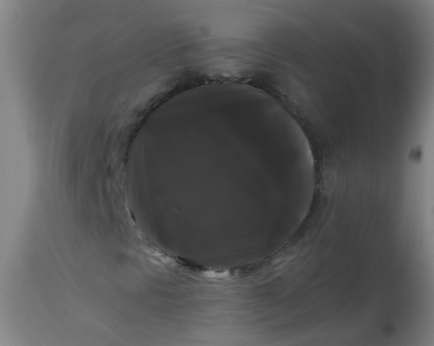 X0000114181297200910221704