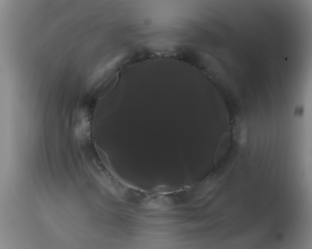 X0000114181298200910221704