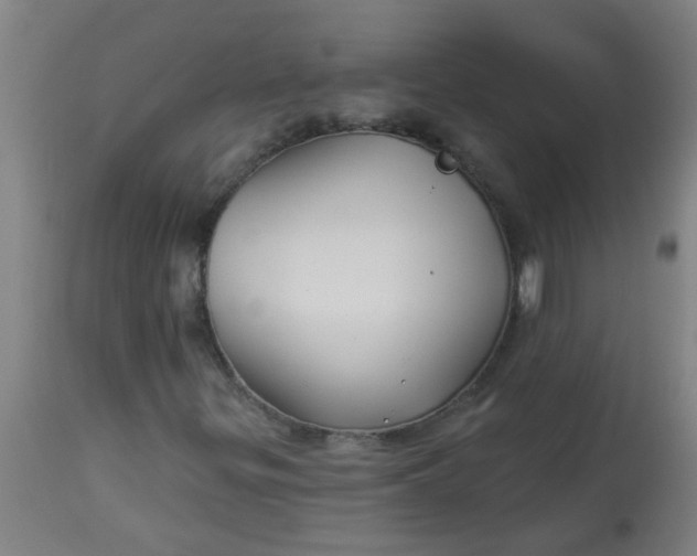 X0000114181299200910221704