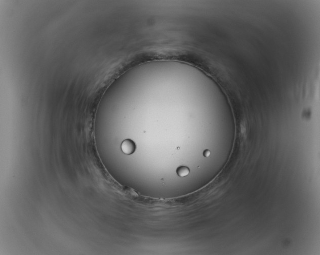 X0000114181300200910221704