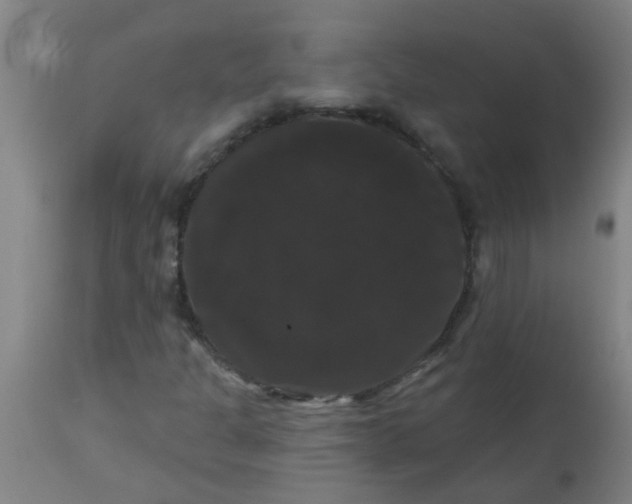 X0000114181301200910221704