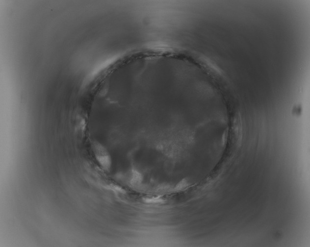 X0000114181302200910221704