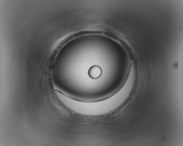 X0000114181304200910221704