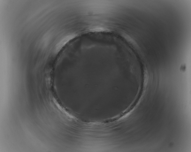 X0000114181305200910221704