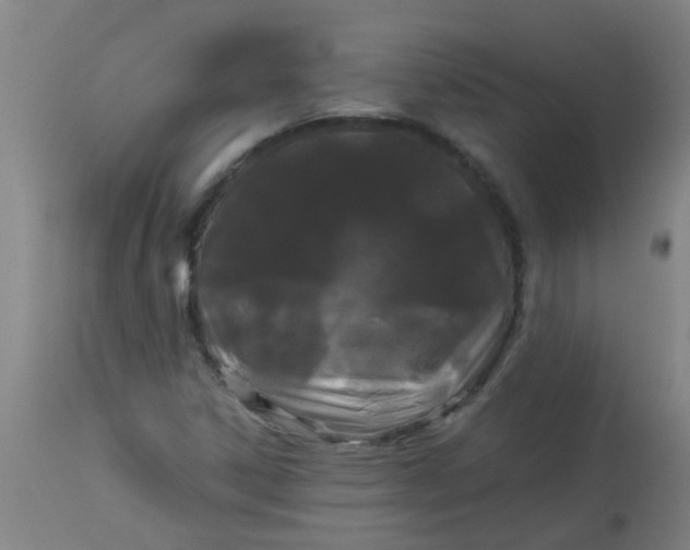 X0000114181306200910221704