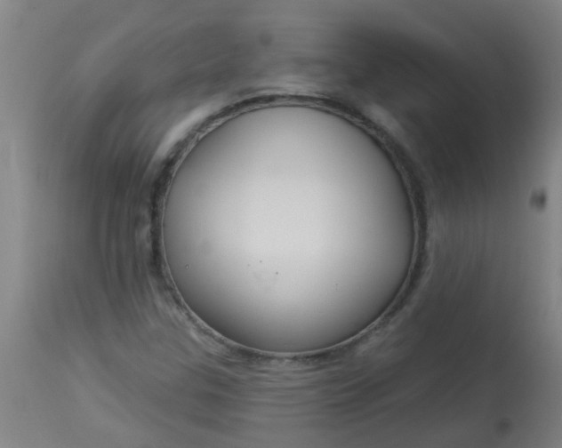 X0000114181307200910221704