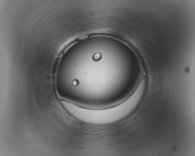 X0000114181308200910221704