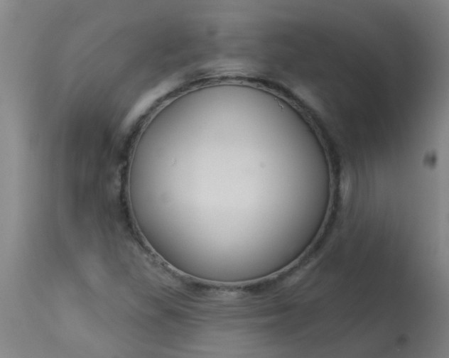 X0000114181309200910221704