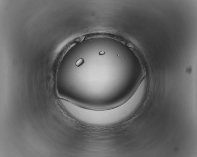 X0000114181310200910221704