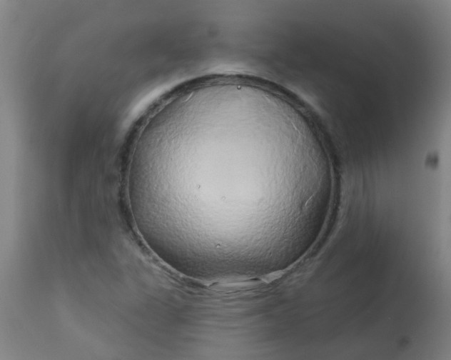 X0000114181311200910221704