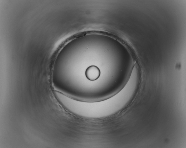 X0000114181312200910221704