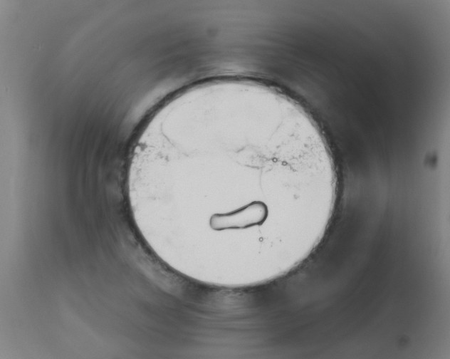 X0000114181314200910221704