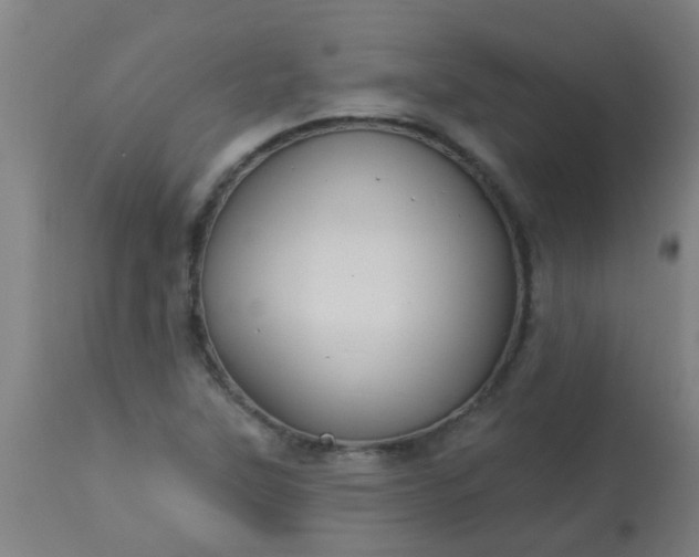 X0000114181315200910221704