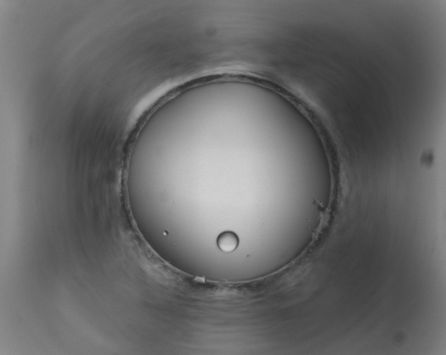 X0000114181316200910221704