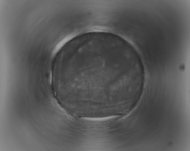 X0000114181317200910221704