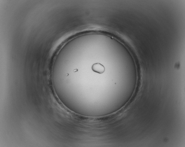 X0000114181318200910221704