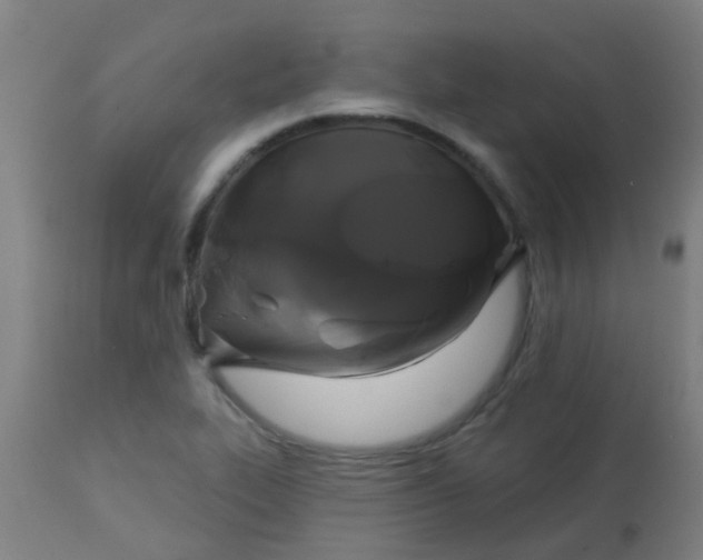 X0000114181319200910221704