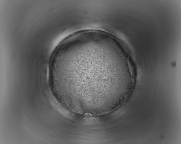 X0000114181320200910221704