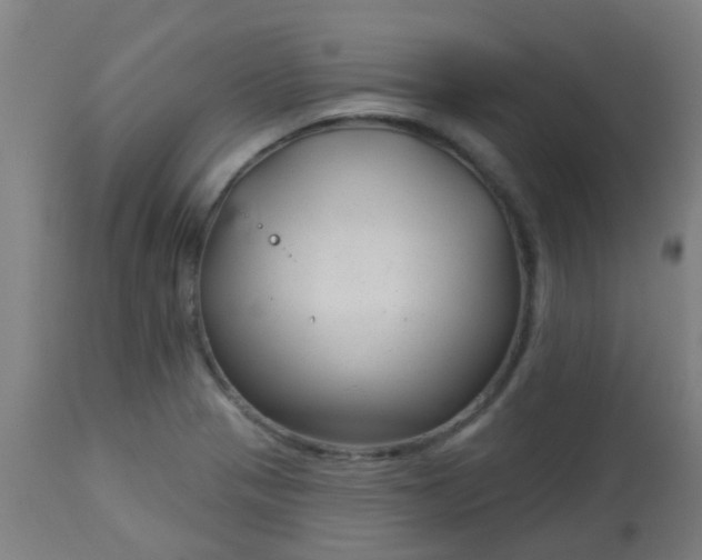 X0000114181321200910221704